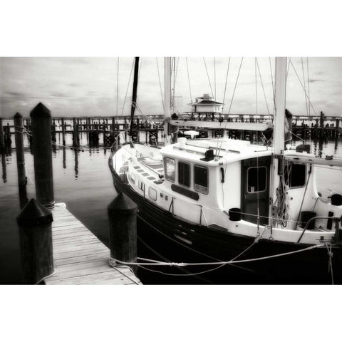 Cambridge Docks I Black Modern Wood Framed Art Print with Double Matting by Hausenflock, Alan