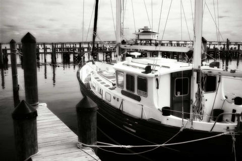 Cambridge Docks I White Modern Wood Framed Art Print with Double Matting by Hausenflock, Alan