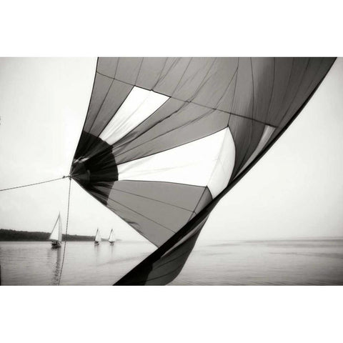 Downwind II Black Modern Wood Framed Art Print with Double Matting by Hausenflock, Alan