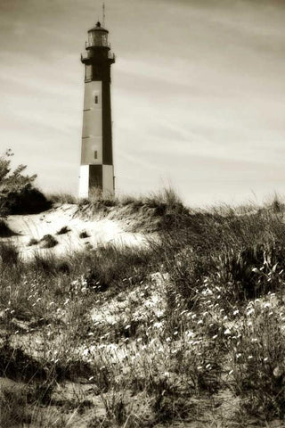 Cape Henry Light I Black Ornate Wood Framed Art Print with Double Matting by Hausenflock, Alan