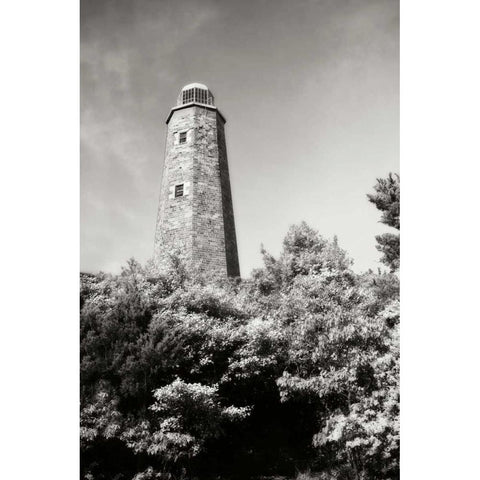 Old Cape Henry Light I Gold Ornate Wood Framed Art Print with Double Matting by Hausenflock, Alan