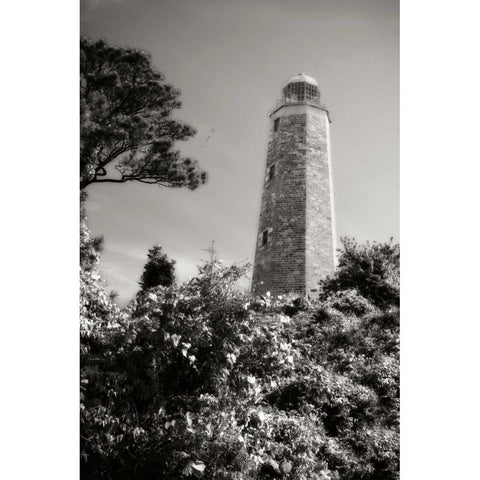 Old Cape Henry Light II Gold Ornate Wood Framed Art Print with Double Matting by Hausenflock, Alan