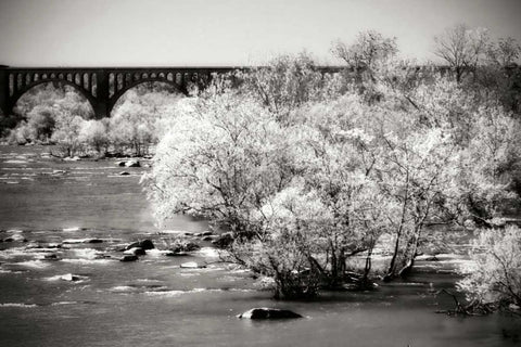 Lee Bridge II Black Ornate Wood Framed Art Print with Double Matting by Hausenflock, Alan