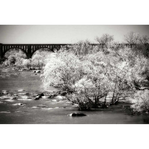 Lee Bridge II White Modern Wood Framed Art Print by Hausenflock, Alan