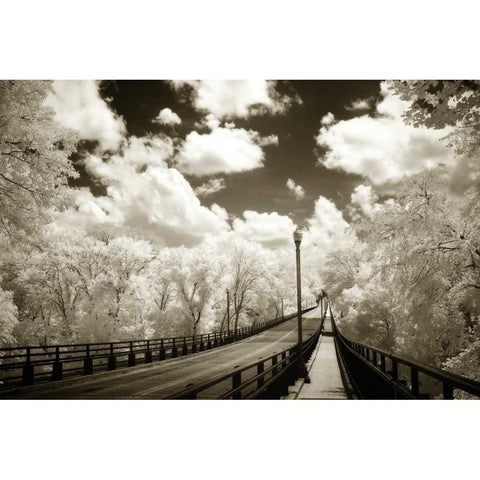 Boulevard Bridge I Black Modern Wood Framed Art Print with Double Matting by Hausenflock, Alan