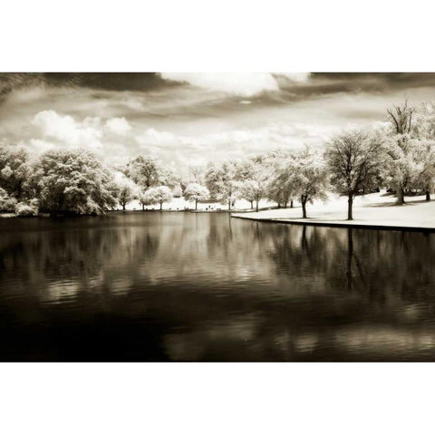 Bryan Park II Gold Ornate Wood Framed Art Print with Double Matting by Hausenflock, Alan