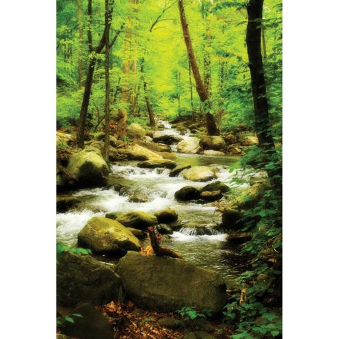 White Oak River I Black Modern Wood Framed Art Print with Double Matting by Hausenflock, Alan