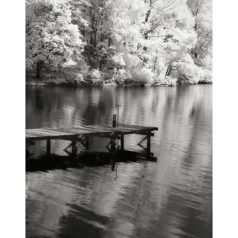 Mint Springs Lake BW V White Modern Wood Framed Art Print by Hausenflock, Alan