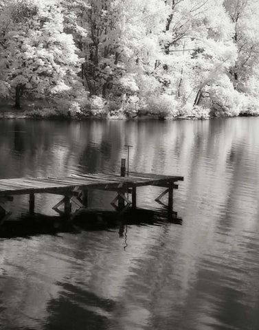 Mint Springs Lake BW V Black Ornate Wood Framed Art Print with Double Matting by Hausenflock, Alan