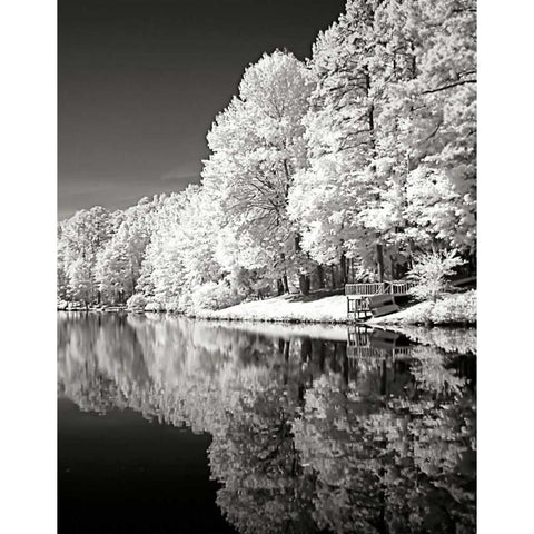 Ayers Lake BW III Gold Ornate Wood Framed Art Print with Double Matting by Hausenflock, Alan