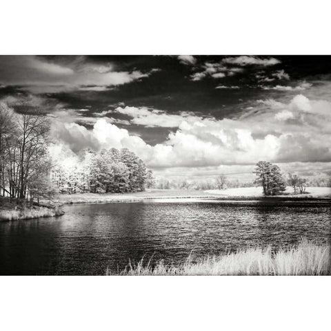 Shearon Lake IV Black Modern Wood Framed Art Print with Double Matting by Hausenflock, Alan