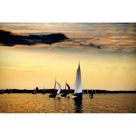 Sailing Home II Black Modern Wood Framed Art Print with Double Matting by Hausenflock, Alan