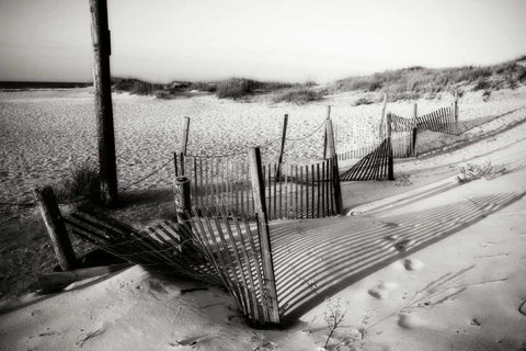 Dunes Fence I Black Ornate Wood Framed Art Print with Double Matting by Hausenflock, Alan