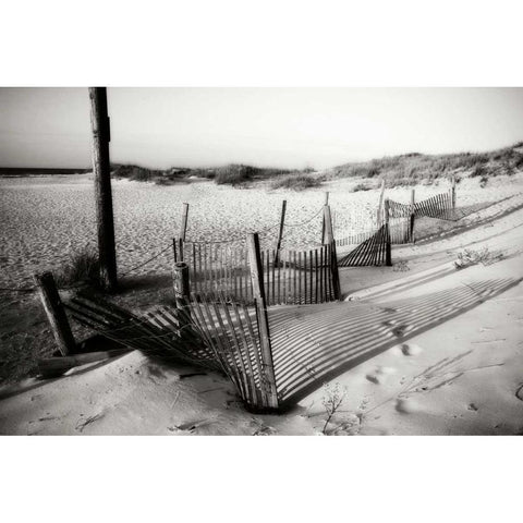 Dunes Fence I Gold Ornate Wood Framed Art Print with Double Matting by Hausenflock, Alan