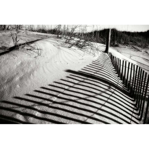 Dunes Fence III White Modern Wood Framed Art Print by Hausenflock, Alan