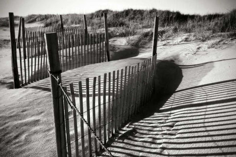 Dunes Fence IV Black Ornate Wood Framed Art Print with Double Matting by Hausenflock, Alan