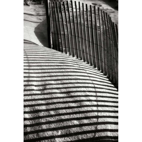 Dunes Fence VI Black Modern Wood Framed Art Print with Double Matting by Hausenflock, Alan