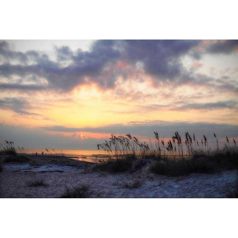 Masonboro Inlet I White Modern Wood Framed Art Print by Hausenflock, Alan