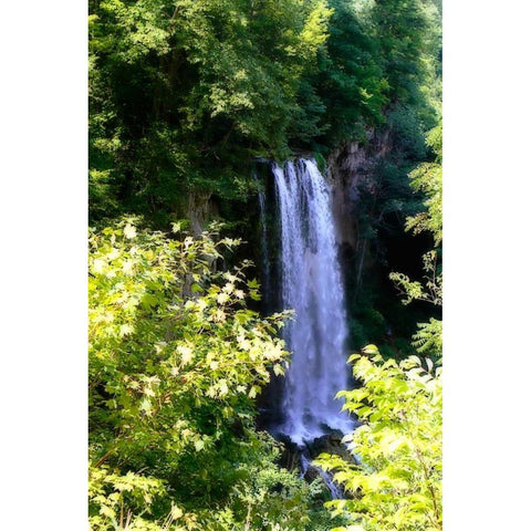 Falling Springs II White Modern Wood Framed Art Print by Hausenflock, Alan