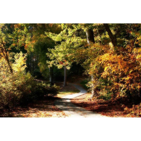 Autumn Pathway I Gold Ornate Wood Framed Art Print with Double Matting by Hausenflock, Alan