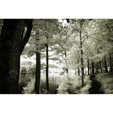 Along the Lakeshore II Black Modern Wood Framed Art Print with Double Matting by Hausenflock, Alan