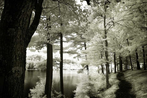 Along the Lakeshore II Black Ornate Wood Framed Art Print with Double Matting by Hausenflock, Alan