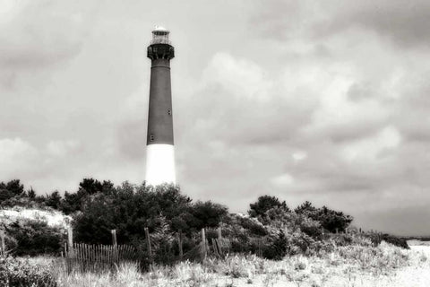 Barnegat Beach II Black Ornate Wood Framed Art Print with Double Matting by Hausenflock, Alan