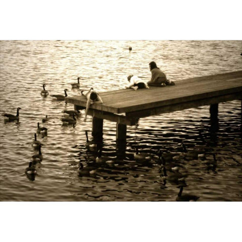 Feeding the Geese I White Modern Wood Framed Art Print by Hausenflock, Alan