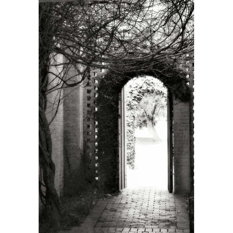 Brookgreen Doorway I White Modern Wood Framed Art Print by Hausenflock, Alan