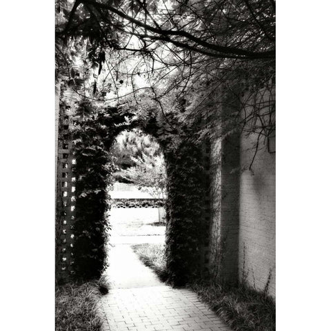 Brookgreen Doorway II Gold Ornate Wood Framed Art Print with Double Matting by Hausenflock, Alan