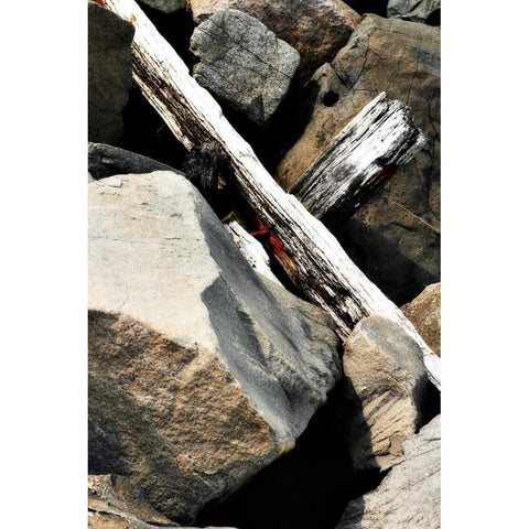 Rocks and Wood II Black Modern Wood Framed Art Print with Double Matting by Hausenflock, Alan