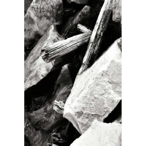 Rocks and Wood I BW Black Modern Wood Framed Art Print with Double Matting by Hausenflock, Alan