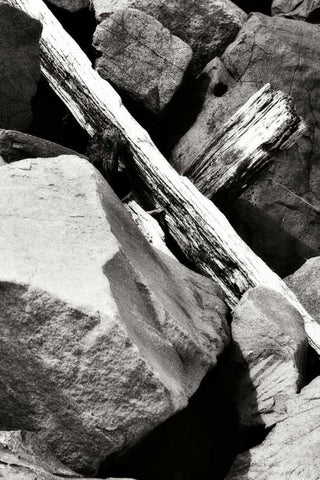 Rocks and Wood II BW White Modern Wood Framed Art Print with Double Matting by Hausenflock, Alan