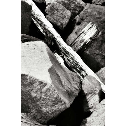 Rocks and Wood II BW Gold Ornate Wood Framed Art Print with Double Matting by Hausenflock, Alan