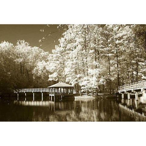 Westhampton Lake I White Modern Wood Framed Art Print by Hausenflock, Alan