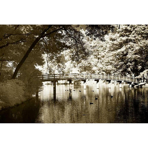 Westhampton Lake II Gold Ornate Wood Framed Art Print with Double Matting by Hausenflock, Alan