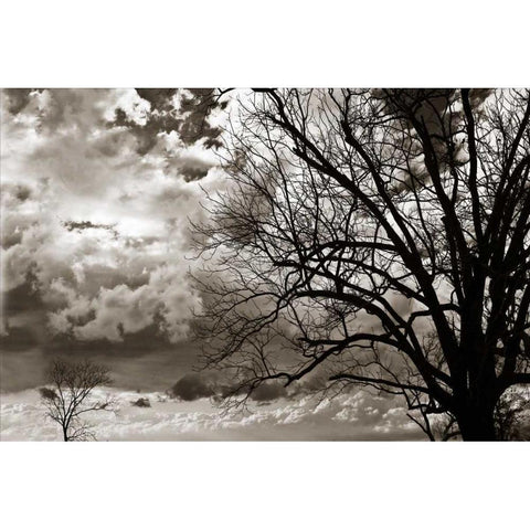 Approaching Storm I Black Modern Wood Framed Art Print with Double Matting by Hausenflock, Alan