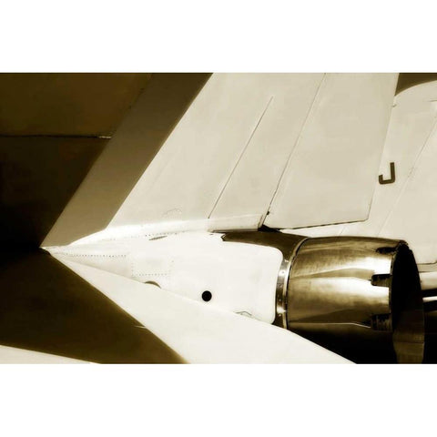 Tomcat II Black Modern Wood Framed Art Print with Double Matting by Hausenflock, Alan
