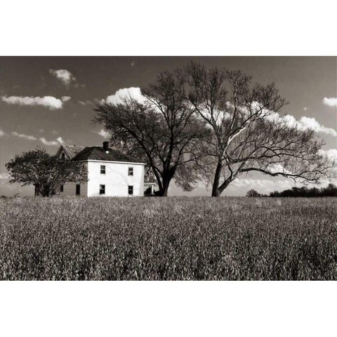 House on Malvern Hill Gold Ornate Wood Framed Art Print with Double Matting by Hausenflock, Alan