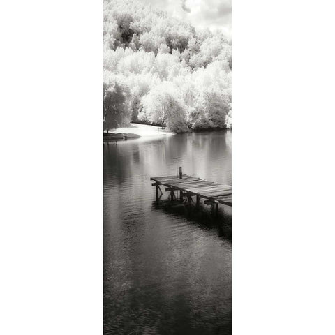 Mint Springs Lake Panel II White Modern Wood Framed Art Print by Hausenflock, Alan