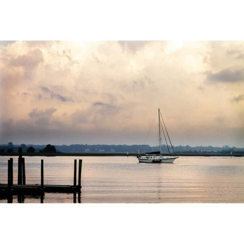 Morning on the Water I White Modern Wood Framed Art Print by Hausenflock, Alan