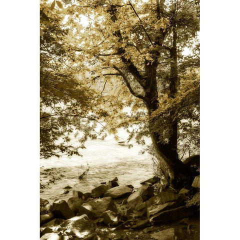 By the River Wide I White Modern Wood Framed Art Print by Hausenflock, Alan