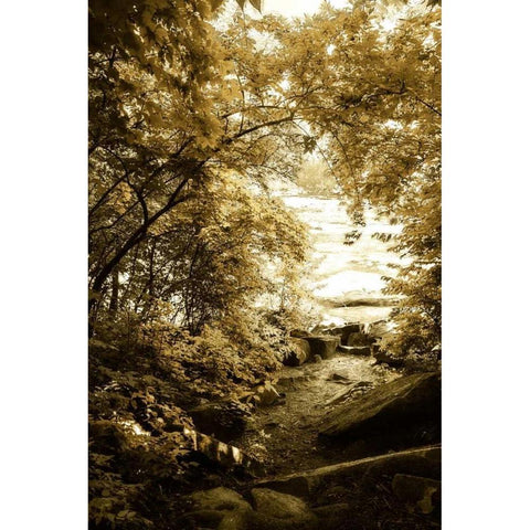 By the River Wide II Black Modern Wood Framed Art Print with Double Matting by Hausenflock, Alan