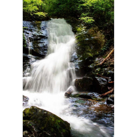 Deep Woods Waterfall I Black Modern Wood Framed Art Print with Double Matting by Hausenflock, Alan