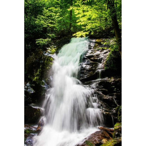 Deep Woods Waterfall II Black Modern Wood Framed Art Print with Double Matting by Hausenflock, Alan