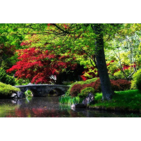 Meisho Garden I White Modern Wood Framed Art Print by Hausenflock, Alan