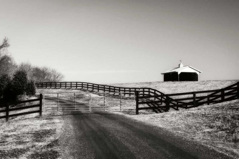 Albermarle Farm II White Modern Wood Framed Art Print with Double Matting by Hausenflock, Alan