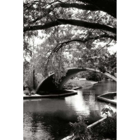 Garden Bridge II Black Modern Wood Framed Art Print with Double Matting by Hausenflock, Alan