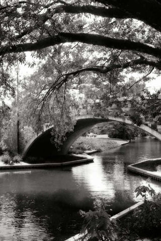 Garden Bridge II Black Ornate Wood Framed Art Print with Double Matting by Hausenflock, Alan