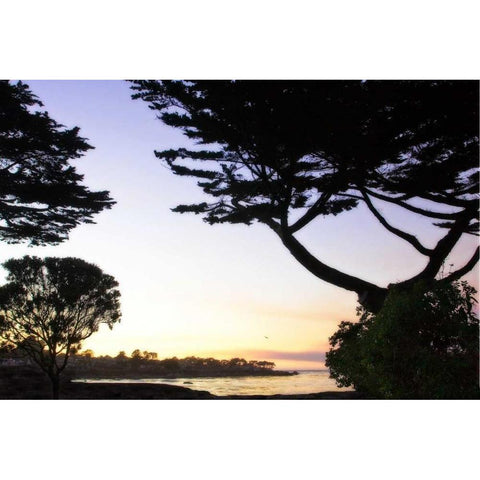 Sunset on Pacific Grove Gold Ornate Wood Framed Art Print with Double Matting by Hausenflock, Alan